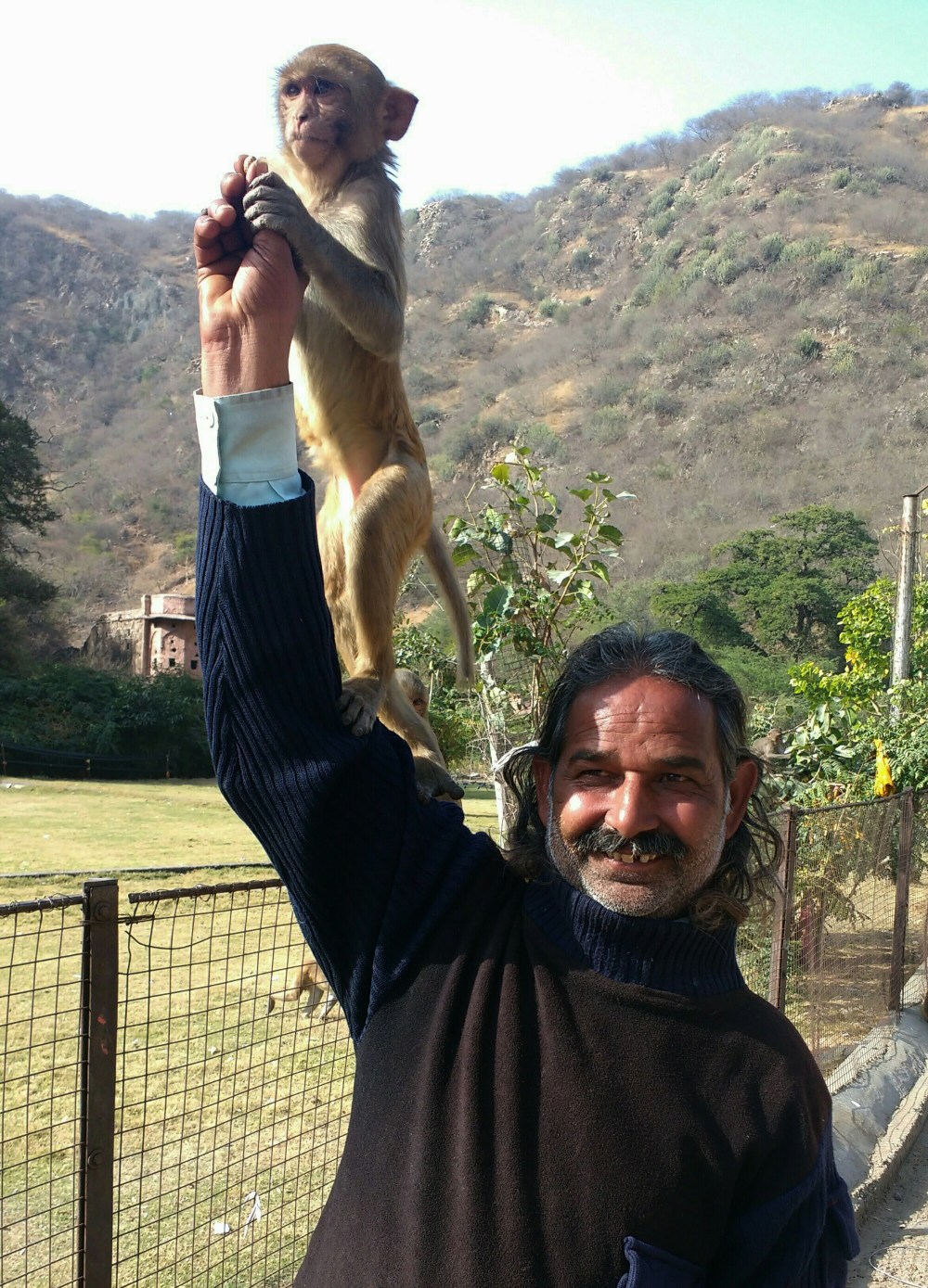 wp-1455235509835 image